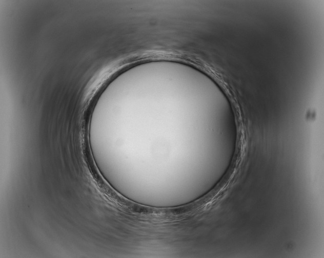 X0000116000103200911191223