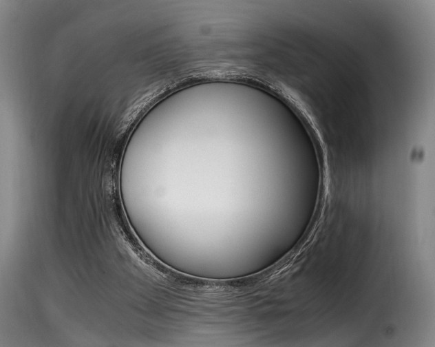 X0000116000105200911191223