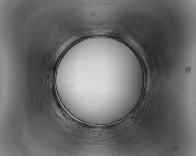 X0000116000107200911191223