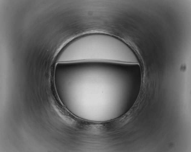 X0000116000108200911191223