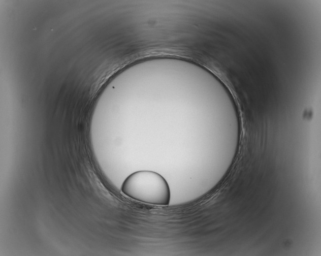 X0000116000109200911191223