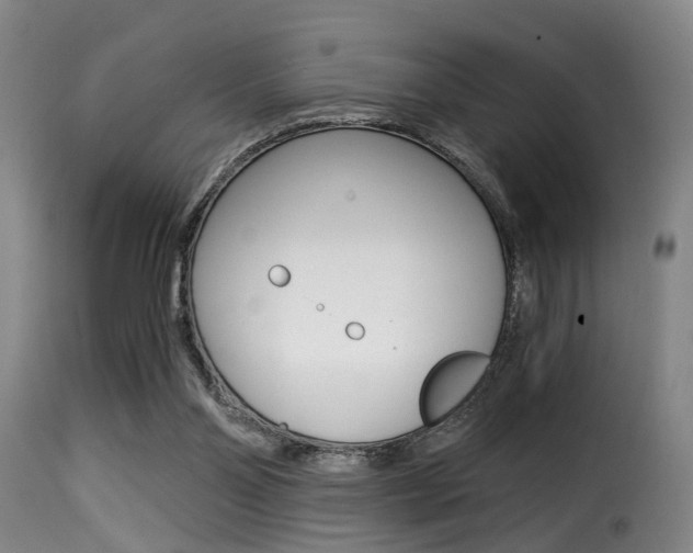 X0000116000110200911191223