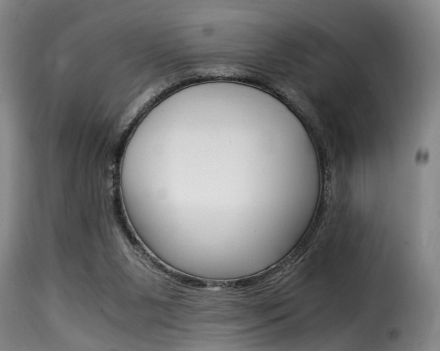 X0000116000111200911191223