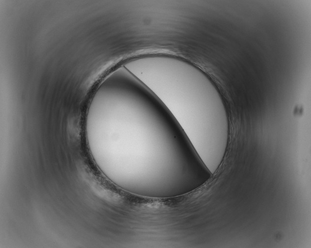 X0000116000112200911191223