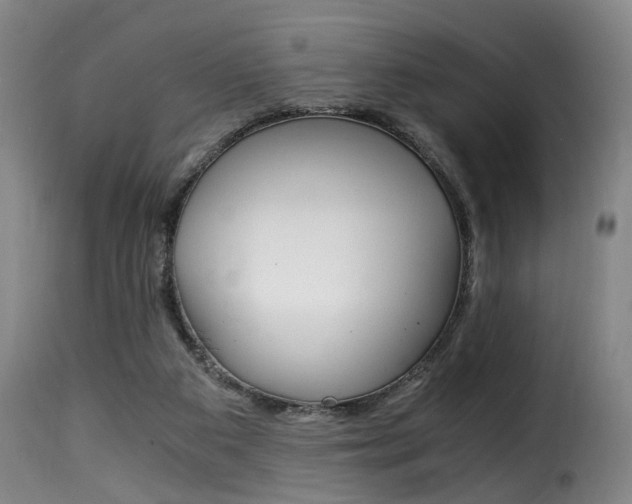 X0000116000113200911191223