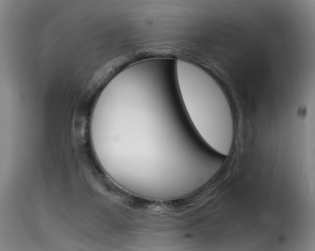 X0000116000115200911191223