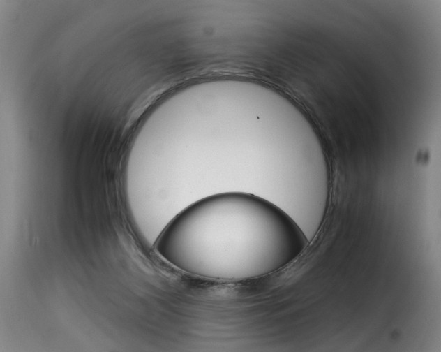 X0000116000116200911191223