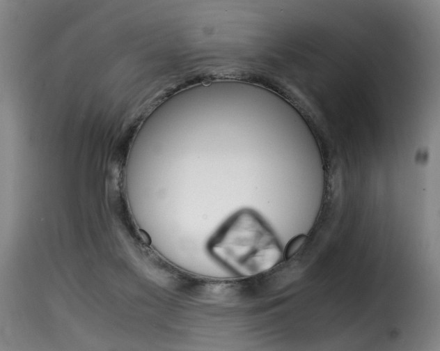 X0000116000117200911191223