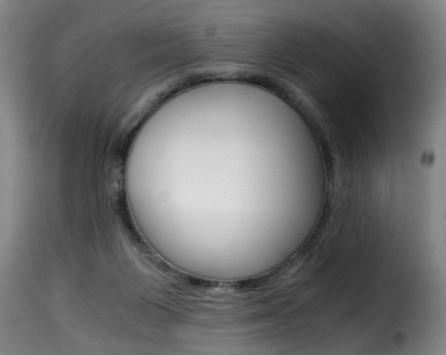 X0000116000119200911191223