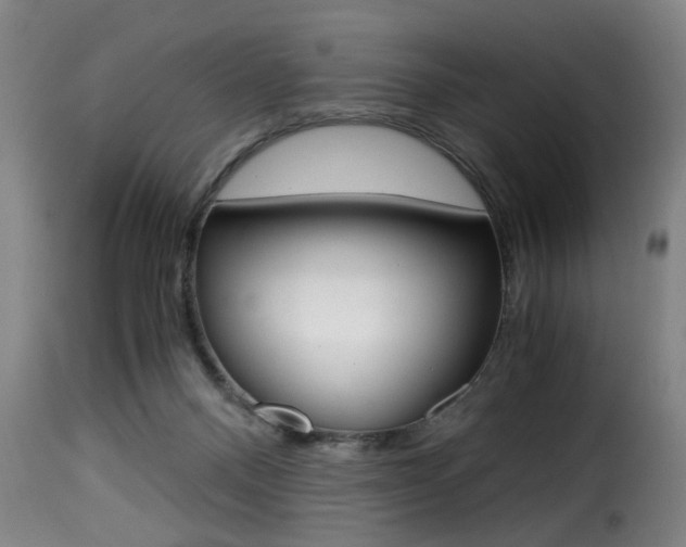 X0000116000120200911191223