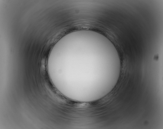 X0000116000122200911191223