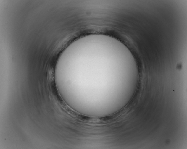 X0000116000123200911191223