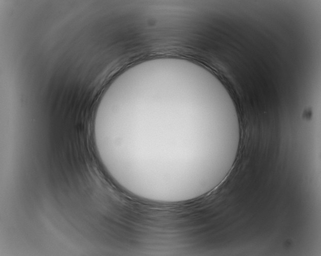 X0000116000124200911191223