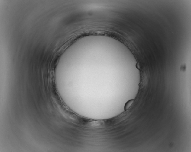 X0000116000126200911191223