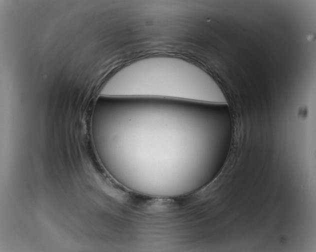 X0000116000128200911191223