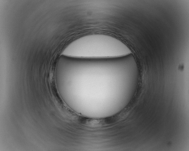 X0000116000129200911191223