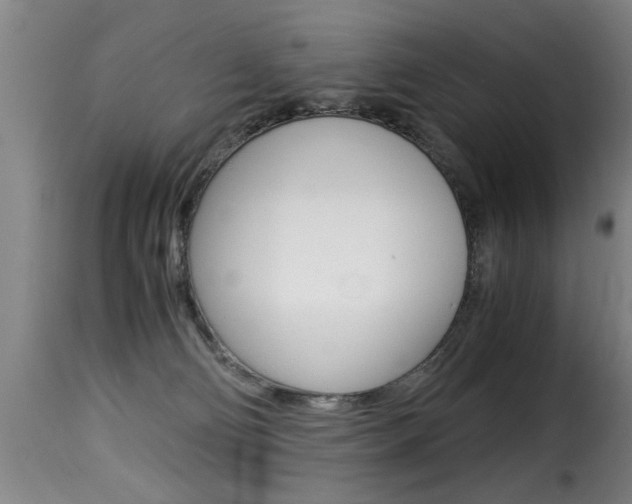 X0000116000130200911191223