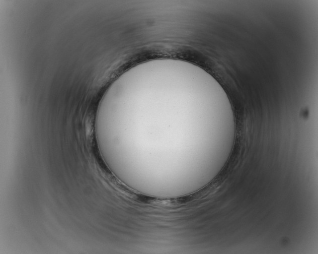 X0000116000131200911191223