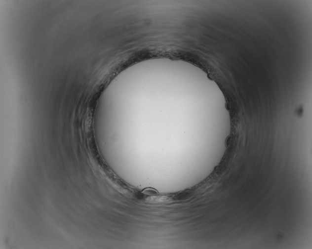 X0000116000133200911191223