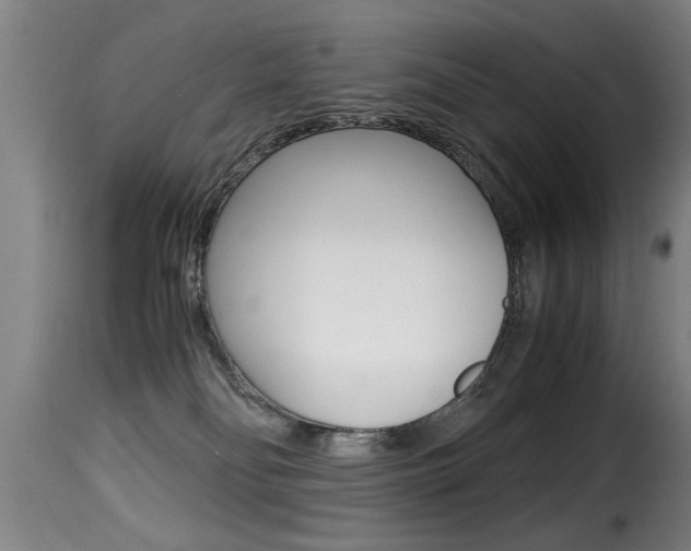 X0000116000134200911191223