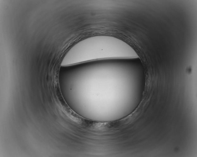 X0000116000136200911191223