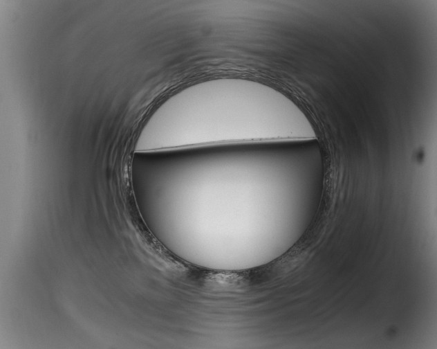 X0000116000137200911191223