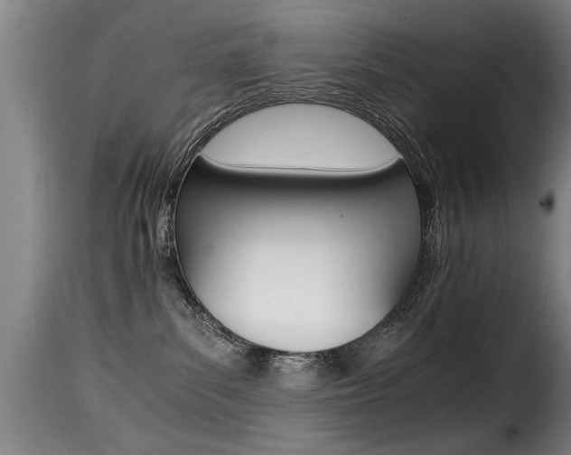 X0000116000139200911191223