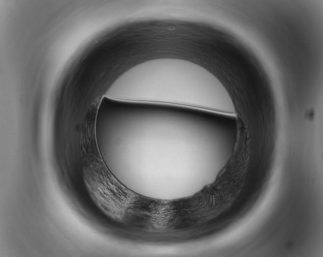 X0000116000143200911191223