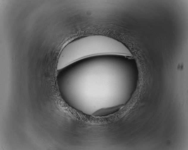 X0000116000144200911191223