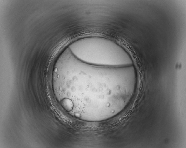 X0000116000145200911191222