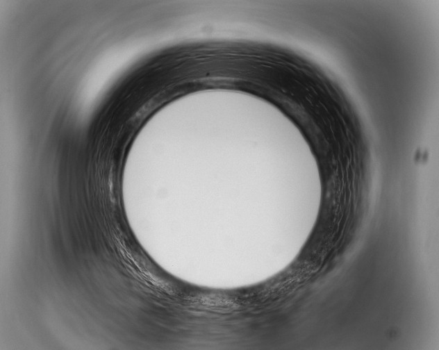 X0000116000146200911191222