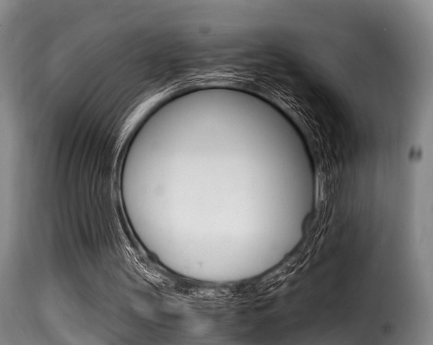 X0000116000147200911191222