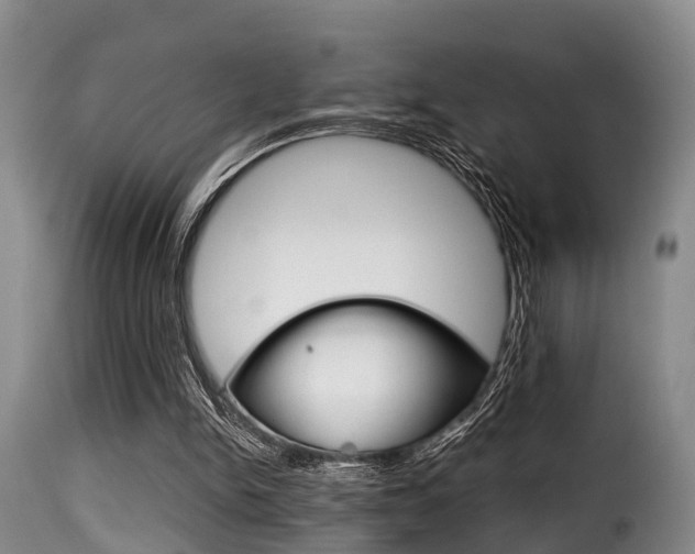 X0000116000150200911191222