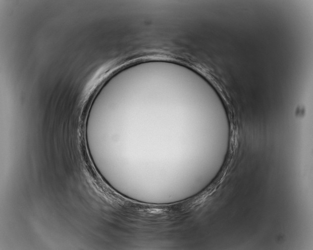 X0000116000151200911191222