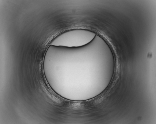 X0000116000153200911191222