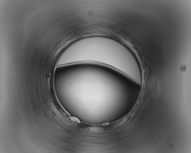 X0000116000154200911191222