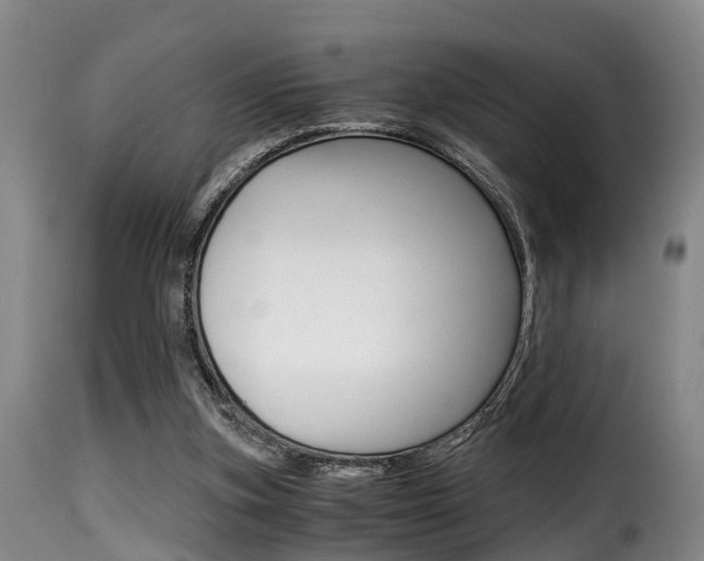 X0000116000155200911191222