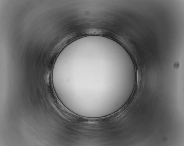 X0000116000157200911191222