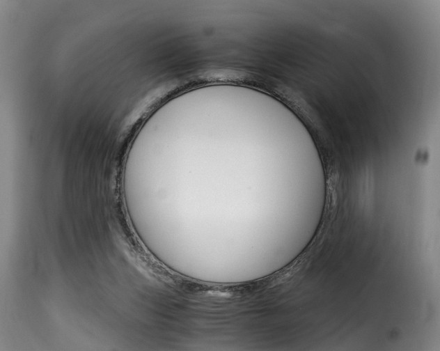 X0000116000159200911191222