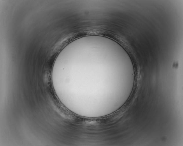 X0000116000161200911191222