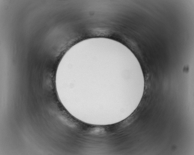 X0000116000162200911191222