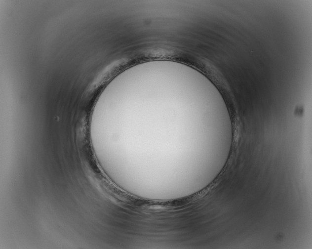 X0000116000163200911191222