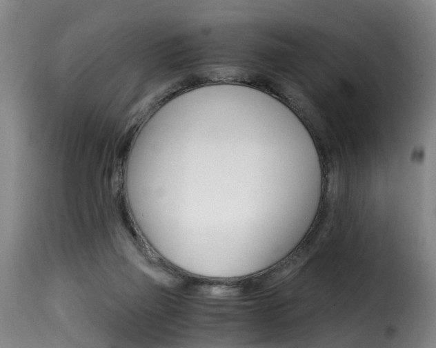 X0000116000165200911191222