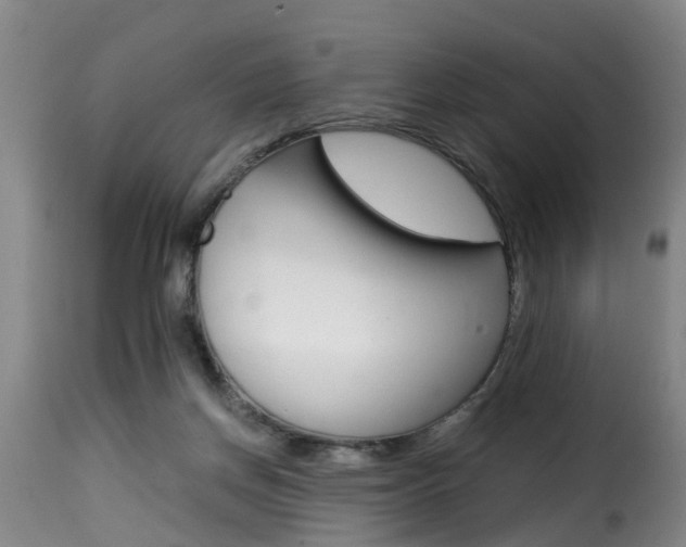 X0000116000166200911191222