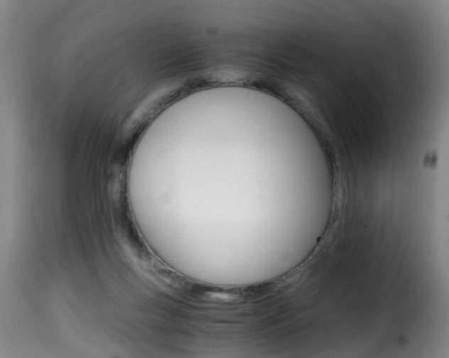 X0000116000167200911191222