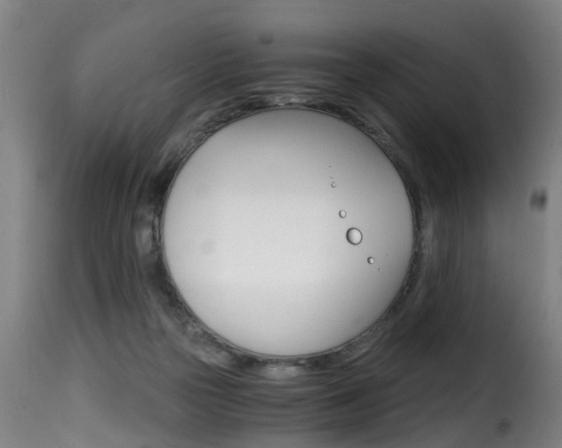 X0000116000169200911191222