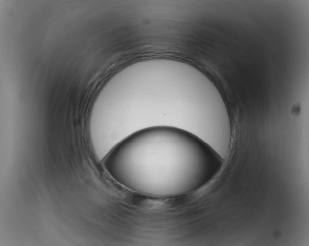 X0000116000170200911191222