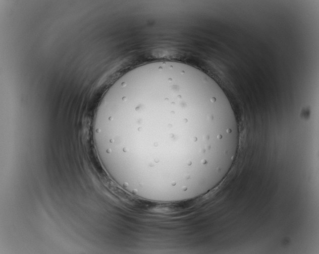 X0000116000171200911191222