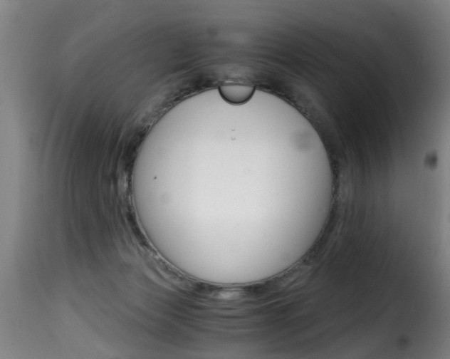 X0000116000173200911191222