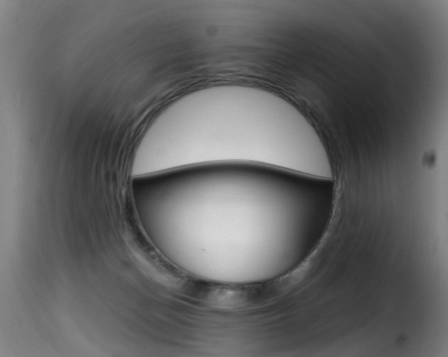 X0000116000174200911191222